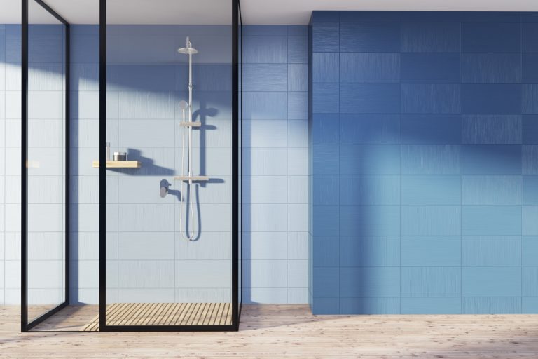 a-guide-to-disabled-showers